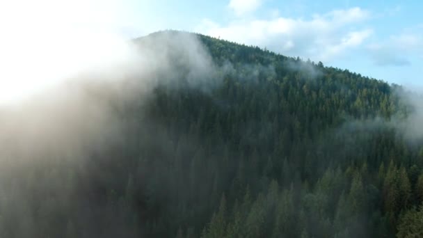 Luchtfoto Van Het Prachtige Berglandschap Mist Stijgt Berghellingen Bedekt Met — Stockvideo