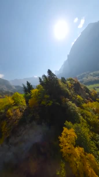 Vertical Video Idyllic Mountain Landscape Switzerland Aerial Swiss Rural Landscape — Stockvideo