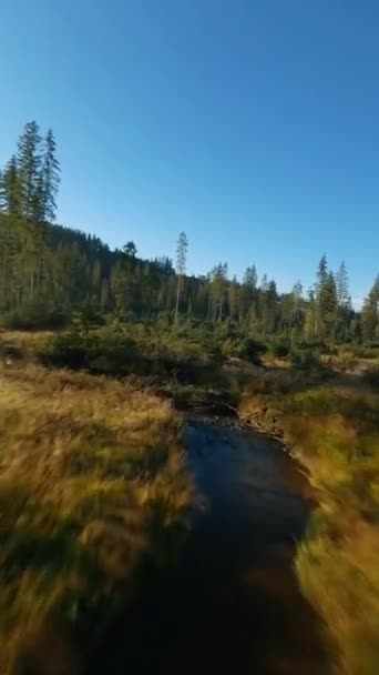 Vidéo Verticale Vol Rapide Dessus Paysage Montagneux Automne Ruisseau Arbres — Video