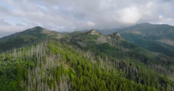 Widok Lotu Ptaka Piękny Górski Krajobraz Latem Zachmurzone Niebo Las — Wideo stockowe