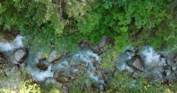 山頂からは大きな石の間を流れる山の川が眺められ 川沿いの木々に囲まれています タトラ山脈 スロバキア — ストック動画