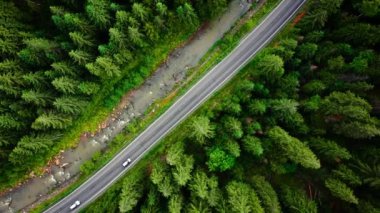 Top down view of cars driving along the road in the mountains among the coniferous forest