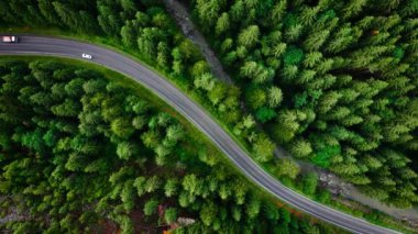 Top down view of cars driving along the road in the mountains among the coniferous forest