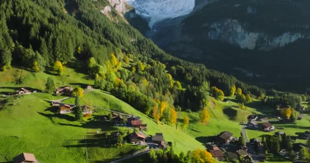 Αεροφωτογραφία Της Όμορφης Ελβετικής Φύσης Και Του Χωριού Grindelwald Στην — Αρχείο Βίντεο