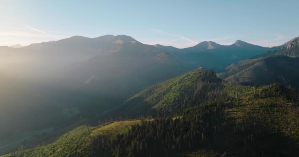 Αεροφωτογραφία Του Όμορφου Ορεινού Τοπίου Καλοκαίρι Στο Ηλιοβασίλεμα Στο Δάσος — Αρχείο Βίντεο