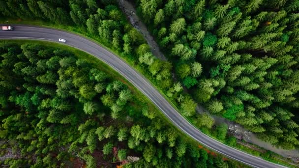 Top View Cars Driving Road Mountains Coniferous Forest — Video