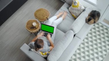 Overhead shot of woman using laptop with green mock-up screen, lying on couch at home. Fluffy cat sitting next to her