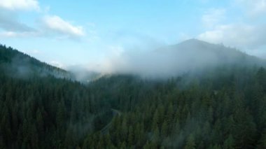 Yollu güzel dağ manzarasının havadan görünüşü. Gün doğumunda, kozalaklı ormanlarla kaplı dağların üzerinden sis yükselir. Ukrayna, Karpat Dağları, Bukovel