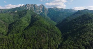 Aerial view of beautiful mountain landscape in summer, forest and rocks. Zakopane, Tatra mountains, Poland