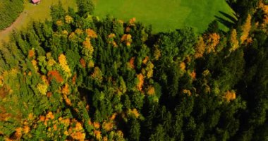 Aerial view of the beautiful autumn Swiss nature, Switzerland, famous Swiss tourist destination.