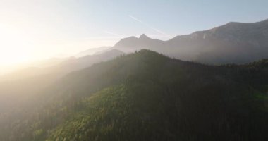 Yazın gün batımında, orman ve kayalıklarda güzel dağ manzarası. Zakopane, Tatra dağları, Polonya