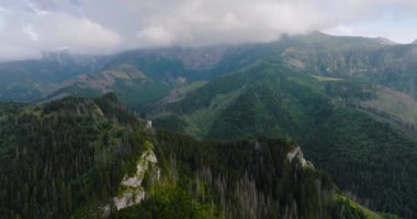 Yazın güzel dağ manzarası, bulutlu gökyüzü, orman ve kayalar. Zakopane, Tatra dağları, Polonya