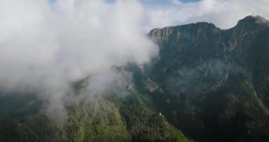 Yazın güzel dağ manzarası, bulutlu gökyüzü, orman ve kayalar. Zakopane, Tatra dağları, Polonya