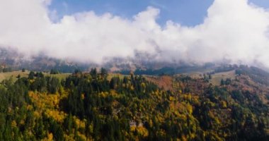 Aerial view of the beautiful autumn Swiss nature, Switzerland, famous Swiss tourist destination.