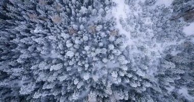 Top down view of a fabulous winter landscape with trees in frosty day. Poland, Zakopane.