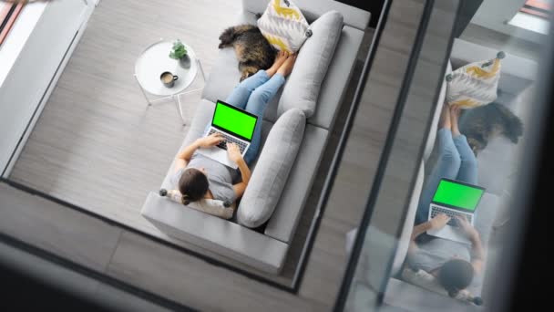 緑色のモックアップ画面とラップトップを使用して女性のオーバーヘッドショットは 自宅でソファの上に横たわっていた 彼女の隣にあるふわふわの猫 — ストック動画