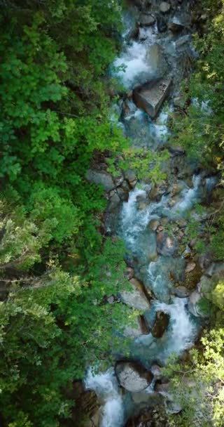 Вертикальне Відео Зверху Видніється Гірська Річка Тече Поміж Великих Каменів — стокове відео