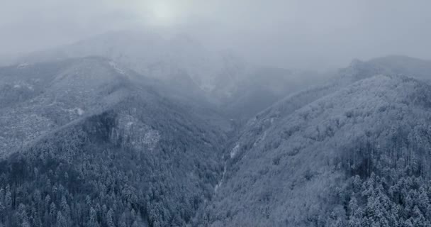 Flight Fabulous Snow Covered Mountain Landscape Fairy Winter Landscape Frosty — Stock Video