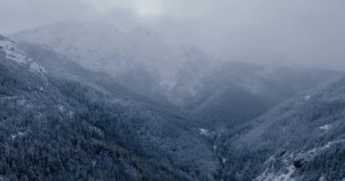 Flight over a fabulous snow-covered mountain landscape. Fairy winter landscape on a frosty gloomy day. Tatra Mountains, Zakopane, Poland
