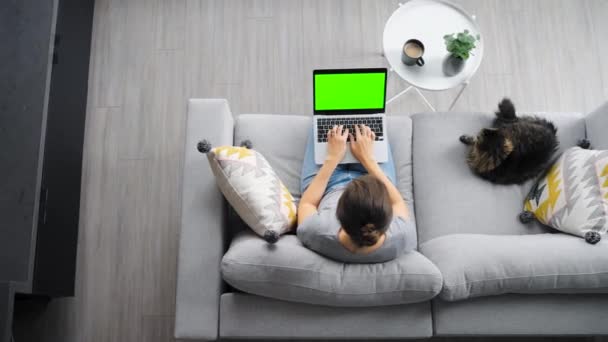 一个女人坐在沙发上 用绿色模拟屏幕的笔记本电脑拍摄了她的头像 毛绒绒的猫躺在她旁边 — 图库视频影像
