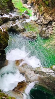 Berrak dağ nehri, vahşi doğayla çevrili taşların arasında akar. Lynn Vadisi Kanyonları, Kuzey Vancouver, İngiliz Kolombiyası, Kanada. 