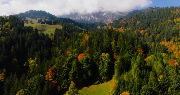 Luftaufnahme Der Schönen Herbstlichen Schweizer Natur Schweiz Berühmtes Schweizer Touristenziel — Stockvideo
