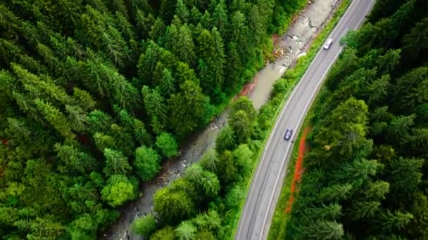 Top View Cars Driving Road Mountains Coniferous Forest — Wideo stockowe