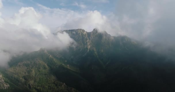 Letecký Pohled Krásnou Horskou Krajinu Létě Zataženou Oblohu Les Skály — Stock video