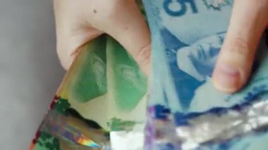 Female hands counting Canadian Dollar bills, close-up. Concept of investment, success, financial prospects or career advancement.
