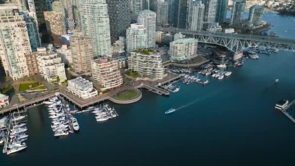 Вражаючий Вигляд Повітря Центр Ванкувера Міст Ґренвіль Фальш Крік Британська — стокове відео
