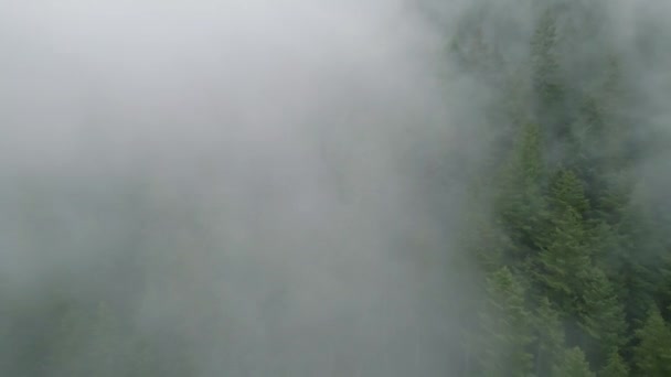 Vista Aérea Del Hermoso Paisaje Montaña Niebla Eleva Sobre Las — Vídeos de Stock