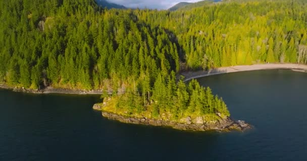 Vista Panorámica Aérea Del Lago Harrison Bosque Con Cordillera Fondo — Vídeos de Stock