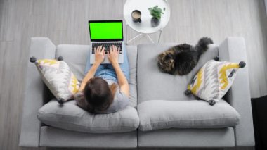 Kadının evdeki kanepede oturan yeşil maket ekranlı dizüstü bilgisayarı kullanırken çekilen resmi. Onun yanında tüylü kedi yatıyor.
