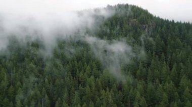 Güzel dağ manzarasının havadan görünüşü. Yağmurdan sonra dağ yamaçlarında kozalaklı ormanlarla kaplı sis yükseliyor. British Columbia, Kanada