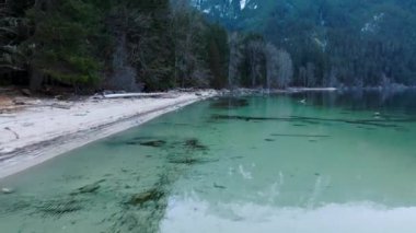 Kışın Chilliwack Gölü kıyısı boyunca uçuş. Vancouver 'ın doğusunda, British Columbia, Kanada