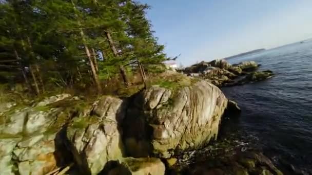 Manövrierbarer Schnellflug Entlang Der Küstenlinie Lighthouse Park West Vancouver British — Stockvideo