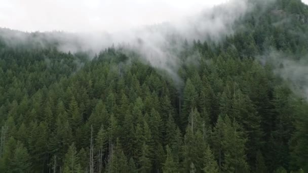 Vista Aérea Bela Paisagem Montanhosa Nevoeiro Sobe Sobre Encostas Montanha — Vídeo de Stock