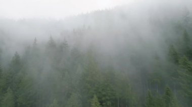 Güzel dağ manzarasının havadan görünüşü. Yağmurdan sonra dağ yamaçlarında kozalaklı ormanlarla kaplı sis yükseliyor. British Columbia, Kanada
