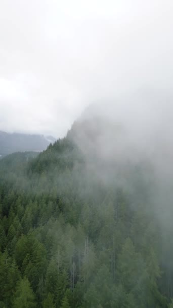 Video Verticale Veduta Aerea Bellissimo Paesaggio Montano Nebbia Sorge Sui — Video Stock