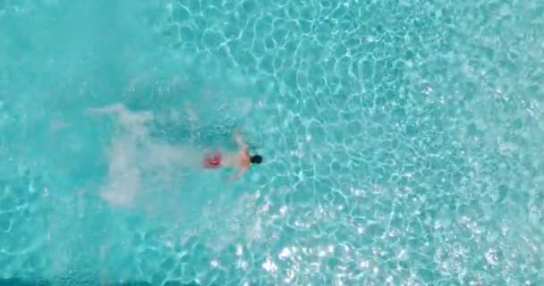 Top Zicht Als Een Man Duikt Het Zwembad Zwemt Slow — Stockvideo
