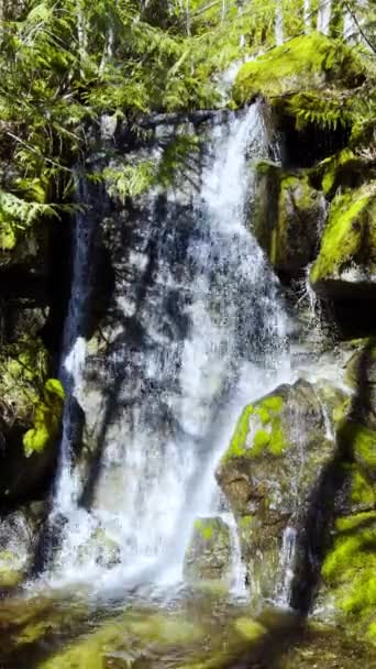 Pionowe Wideo Pięknym Wodospadem Niedaleko Jeziora Chilliwack Kolumbia Brytyjska Kanada — Wideo stockowe