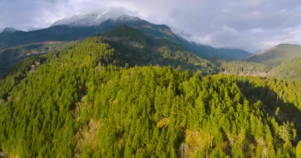 Вид Воздуха Канадский Горный Ландшафт Возле Озера Харрисон Закате Снимок — стоковое видео
