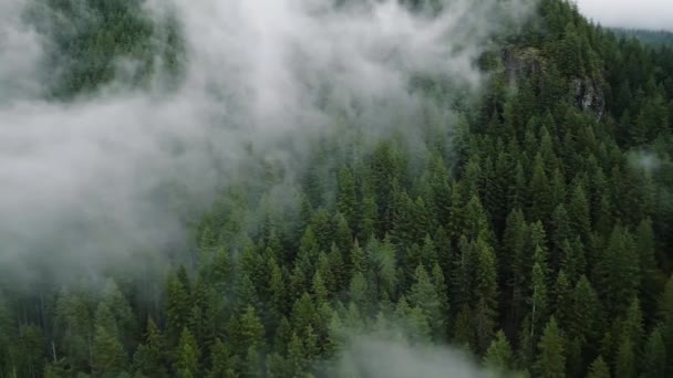Widok Lotu Ptaka Piękny Krajobraz Górski Mgła Wznosi Się Nad — Wideo stockowe