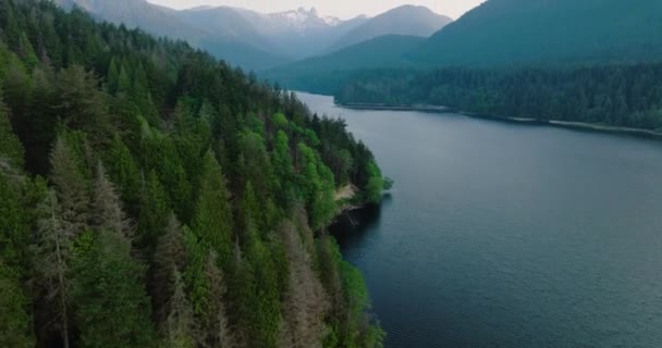 Flygdrönare Utsikt Över Pittoreska Capilano Lake Och Bergslandskap Norra Vancouver — Stockvideo