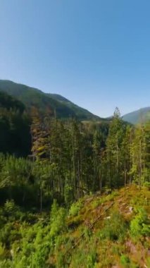 Dikey video. FPV Drone 'la dağ manzarası üzerinde manevra yapılabilir uçuş. Vancouver, British Columbia, Kanada yakınlarında çekilmiş.. 
