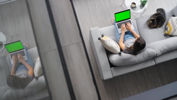 緑色のモックアップ画面とラップトップを使用して女性のオーバーヘッドショットは 自宅でソファに座っている 彼女の隣にあるふわふわの猫 — ストック動画
