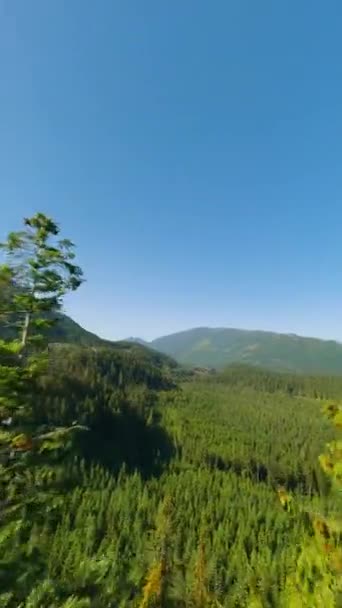 Vertical Video Maneuverable Flight Mountain Landscape Fpv Drone Taken Vancouver — Stock Video