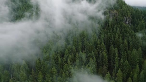 Veduta Aerea Bellissimo Paesaggio Montano Nebbia Sorge Sui Pendii Montuosi — Video Stock