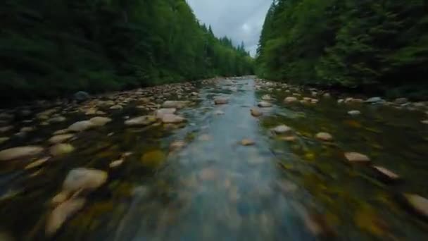 Γρήγορη Πτήση Πάνω Από Ένα Ορεινό Ποτάμι Που Ρέει Ανάμεσα — Αρχείο Βίντεο