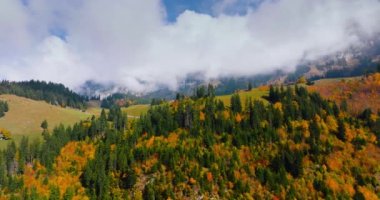 İsviçre 'nin güzel sonbahar manzarası, İsviçre, ünlü İsviçre turizm beldesi.